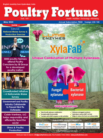 Magazine