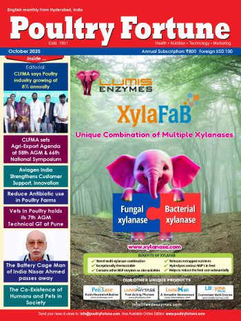 Magazine